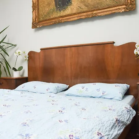 Woolf Apartment Senta