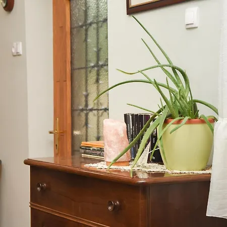 Apartment Woolf